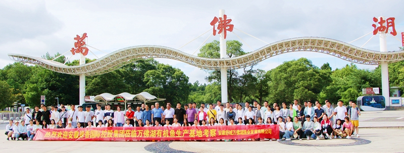 岸香集团优秀员工来凯发有机鱼养殖基地游学团建活动
