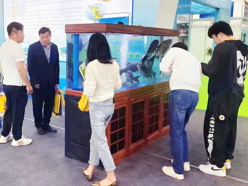 凯发有机鱼荣膺第六届中国国际现代渔业博览会金奖